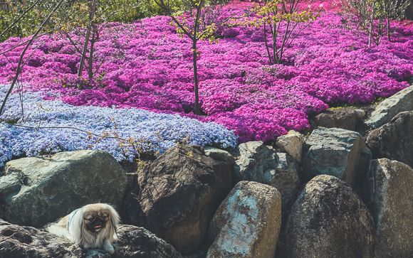 織部本店 テラスカフェ18