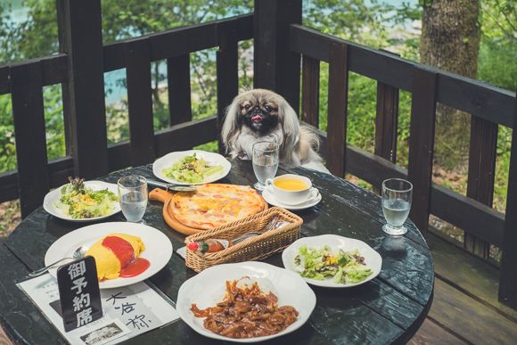 眺望レストラン みはら8