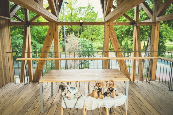 はしもとバーガー10