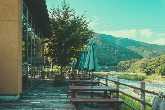 天然鮎みやちか8