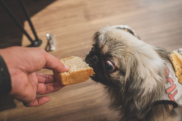 ドトールコーヒー14