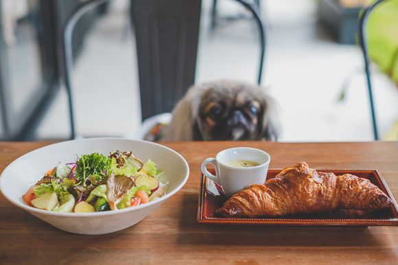 銀カフェ リビングルーム5