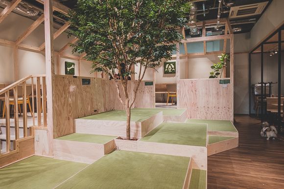 ドトールコーヒー16