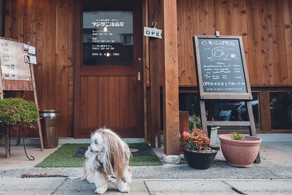 フジタニ洋品店2