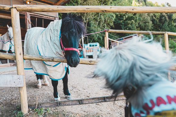 ブロートリーベン都田店20