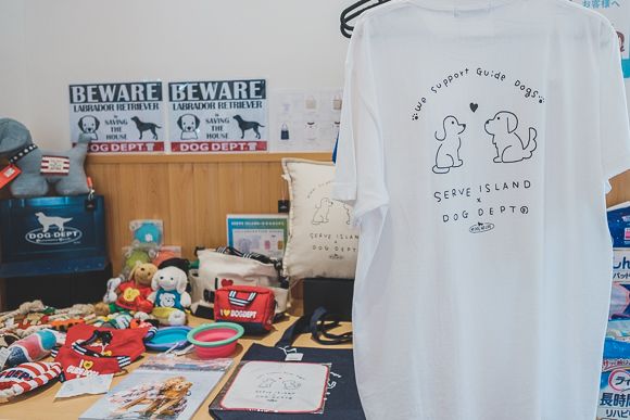 サーブアイランド22