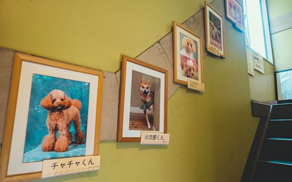 スタジオドッグラン6