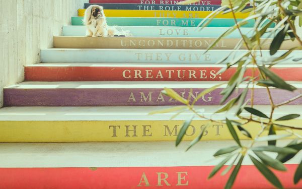 ファーマーズキッチン1