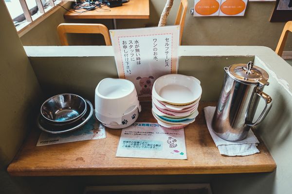 スタジオドッグラン14