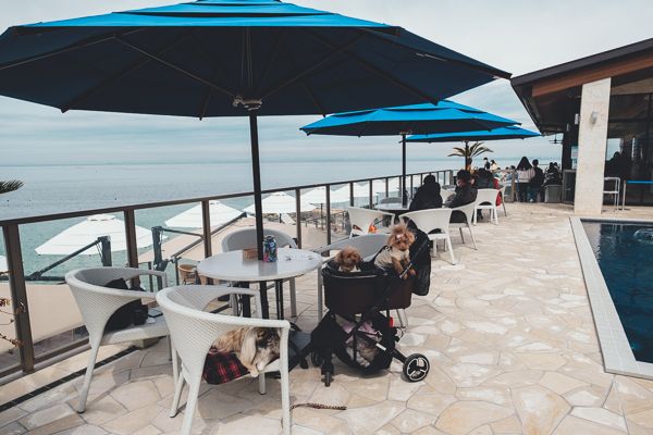 幸せのパンケーキ5