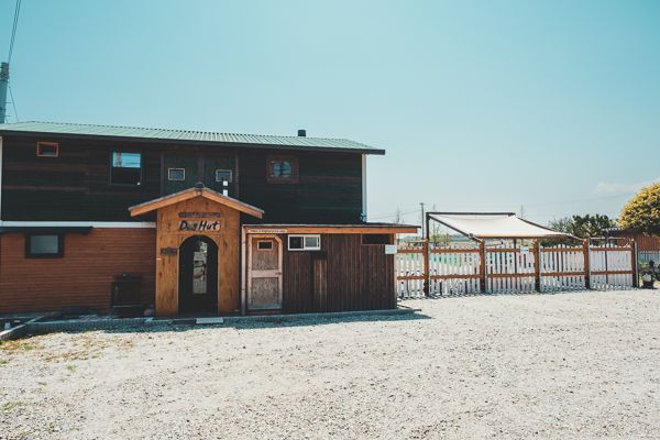 かふぇ菜のはな畑1