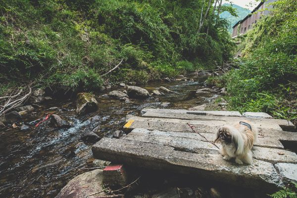 カフェ柚子木28