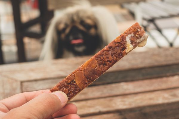 カフェ柚子木19