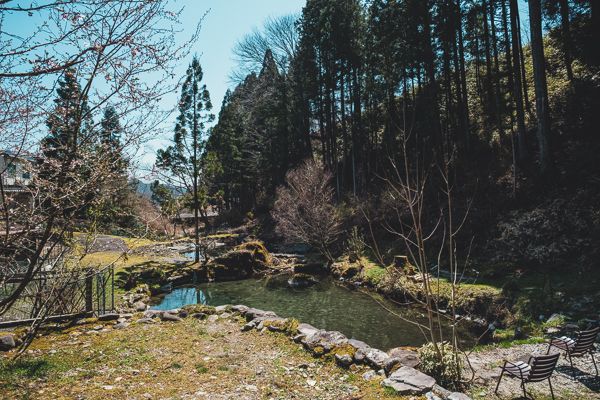 かしも愛犬村30