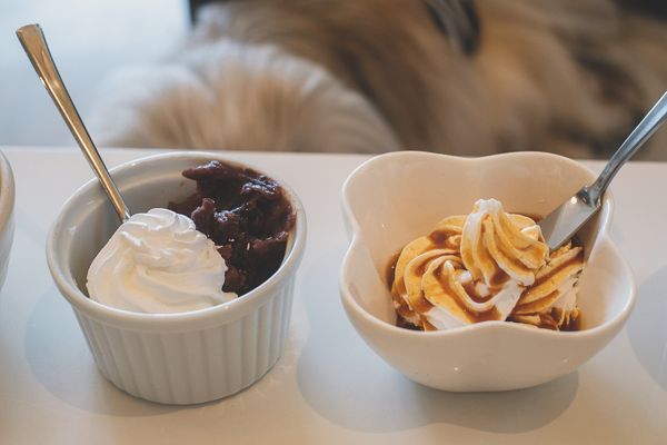 パイナップルミント13