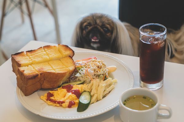 パイナップルミント9