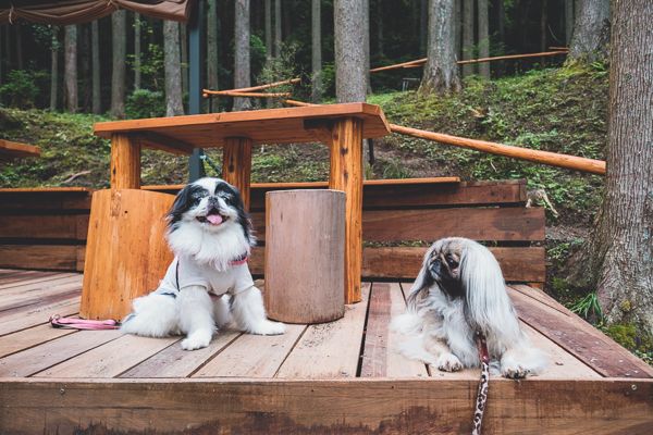 アルフォンソカフェ24