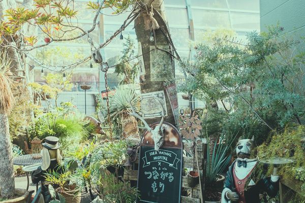 つながるもり27