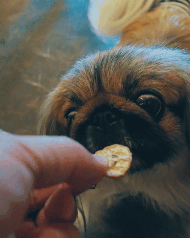 ドライフルーツ