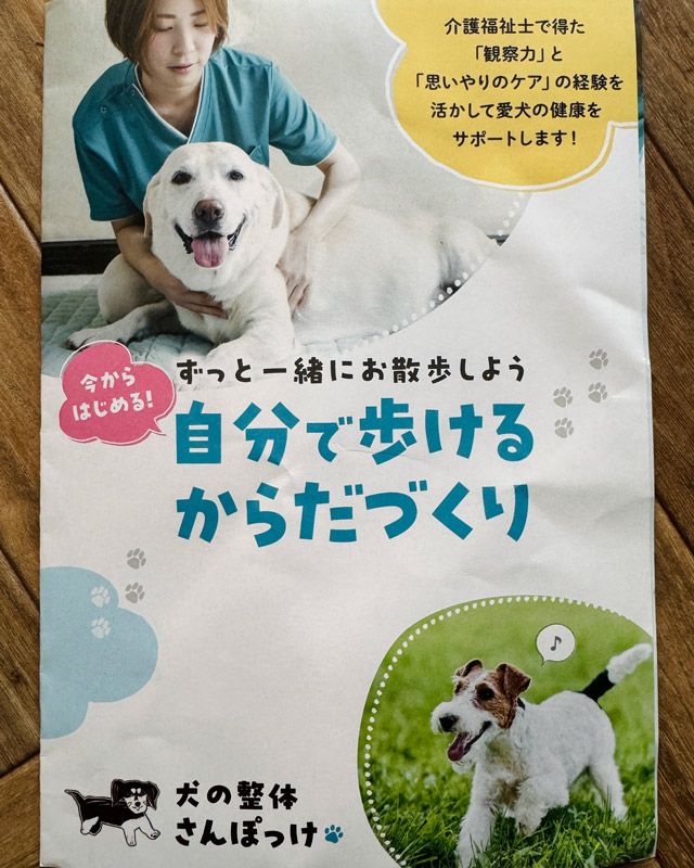 犬整体