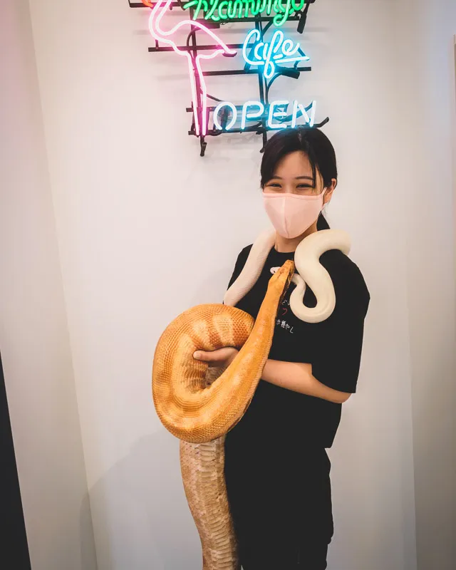 凄い】名古屋のドッグカフェ跡地に、ワンコウェルカムな動物ふれあい