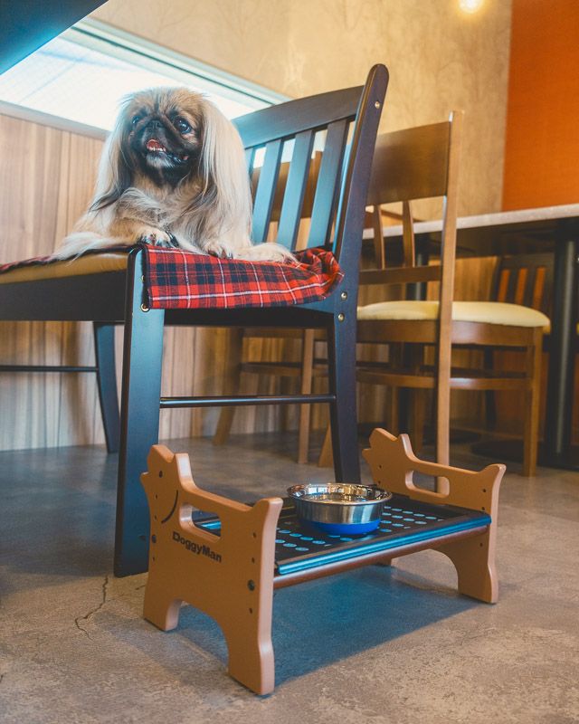 ドッグカフェ&ランDCR19