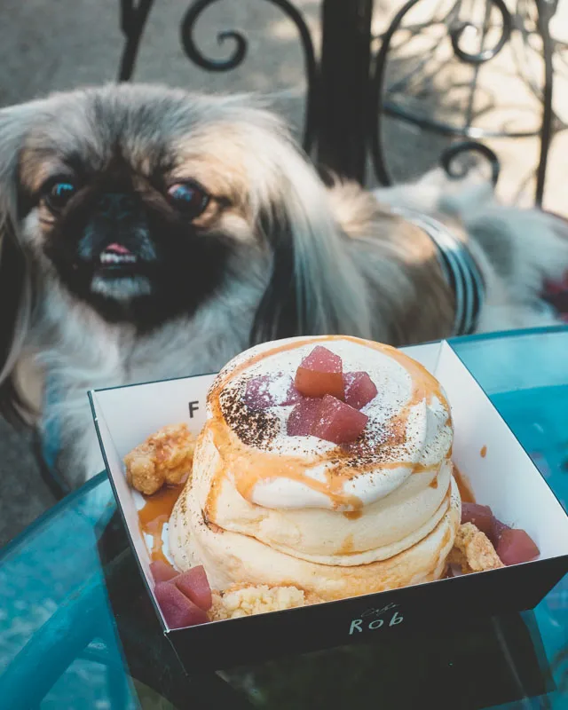ふわしゅわ台湾パンケーキの名店『cafe Rob 西尾店』には、【わんわん