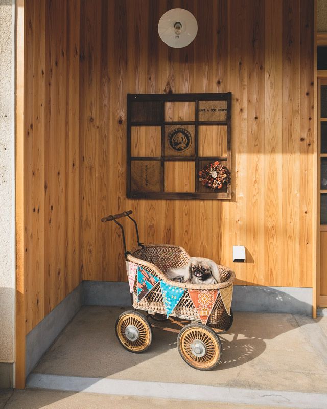 タダノイヌヅキ6