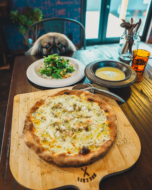 DogCafeレガーレ11