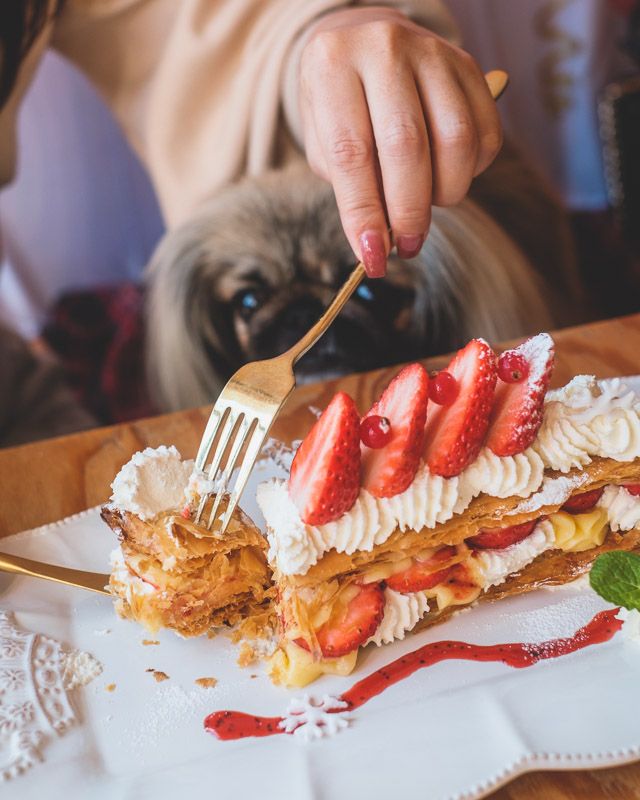 カフェドリオン14