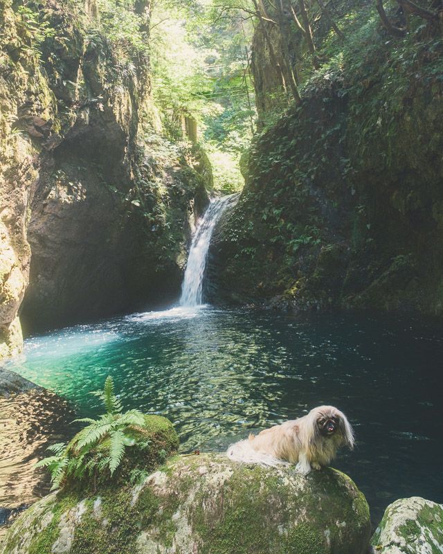 釜ヶ滝滝茶屋33