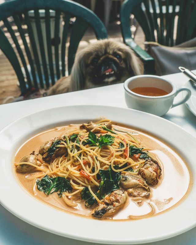 マリーザ浜名湖16