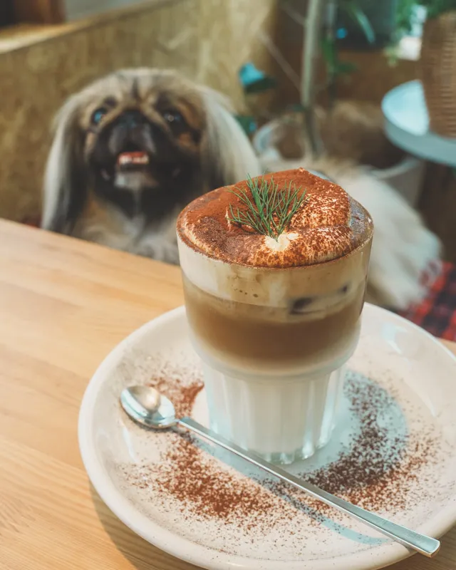 香嵐渓に、なんと店内ワンコOKカフェができた！愛犬家は必ずチェックし