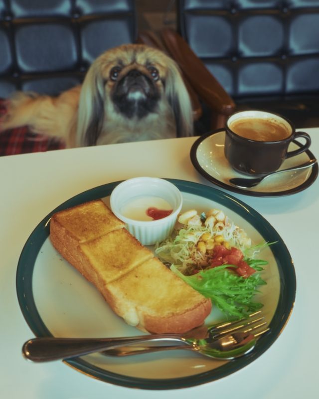 ジェリーズカフェ10