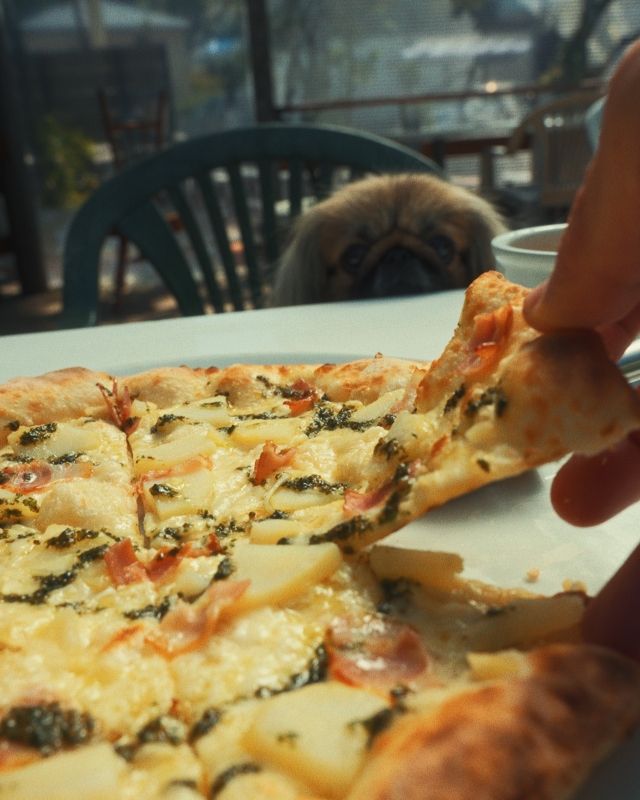 マリーザ浜名湖10