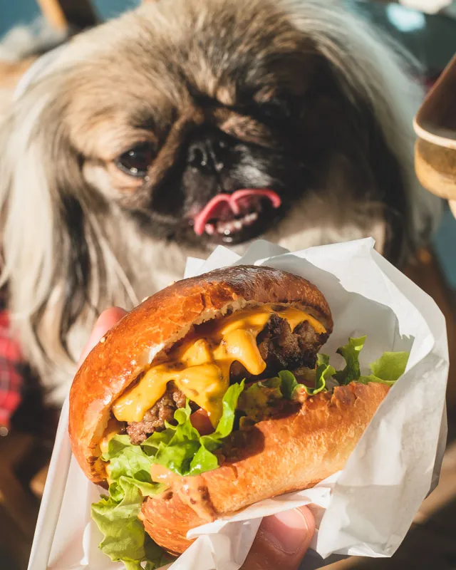 ミートパイとバーガーが注目のアメリカンカフェ『V8 cafe』がOPEN