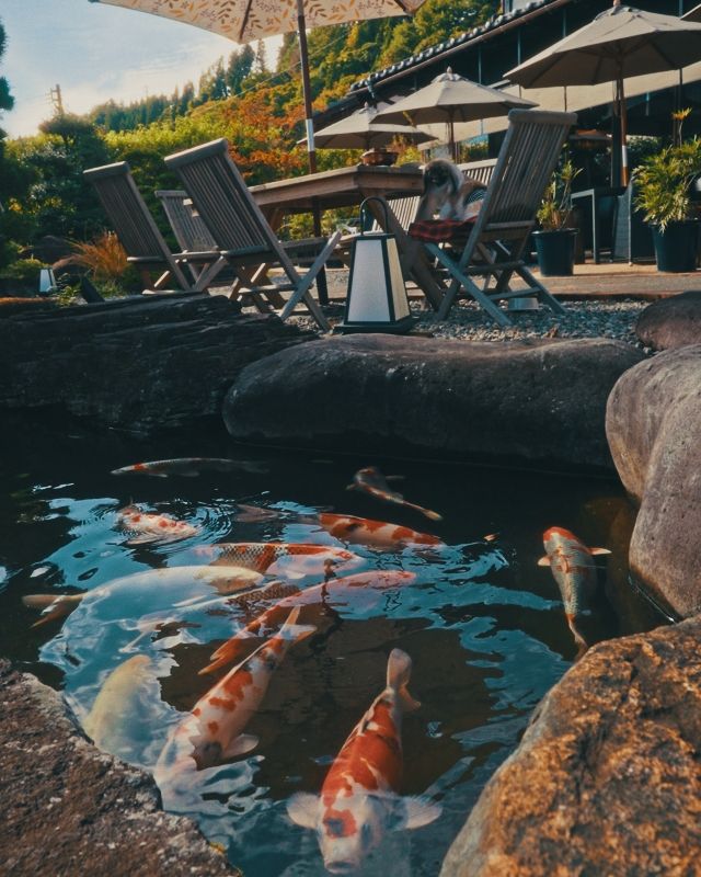 鶏匠庵 白鳥荘7