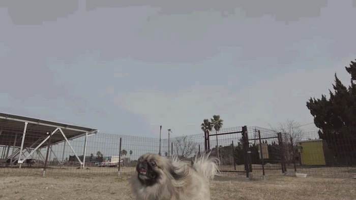 篠島デューテラス31