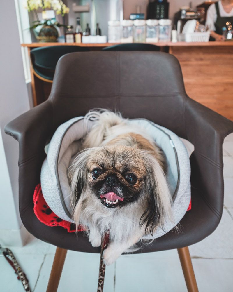 カフェ フラット13