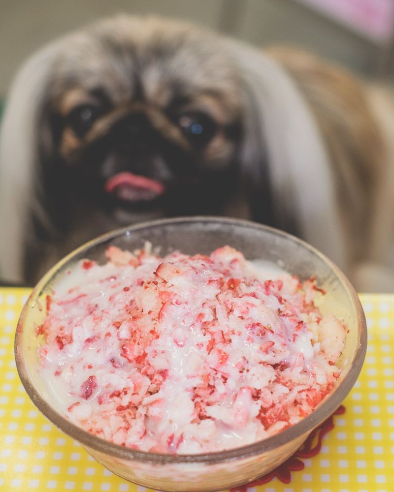 多度グリーンファーム16