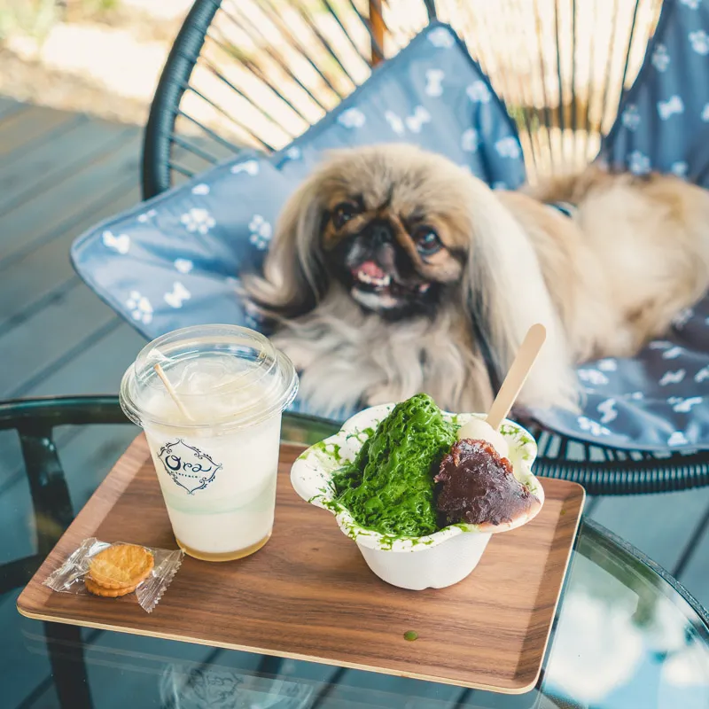 豪華テラス完成】浜松にある百年超えの古民家カフェが、まるで