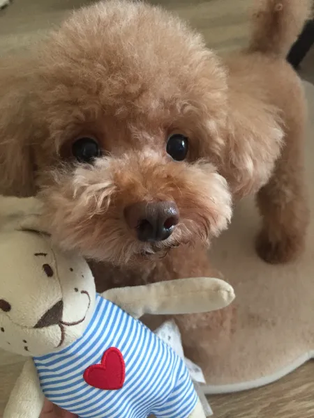 生徒作品_制作作品ピックアップ画像④