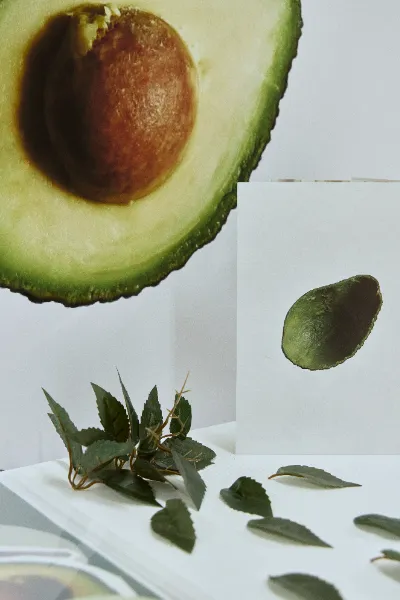 展示の様子_パネルの中でもお気に入りの部分