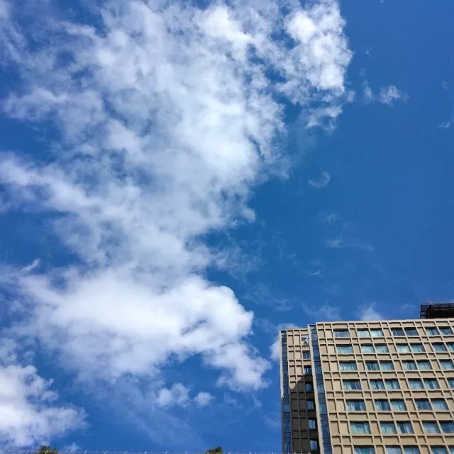 帝京大学 総合型選抜、学校推薦型選抜3年分 未使用 Amazon.co.jp: 帝京大学 総合型選抜 過去問 20222024年 : 文房具