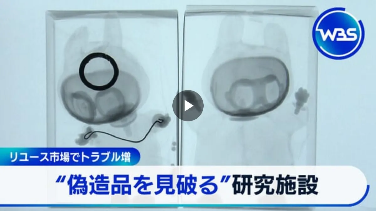20241012-1ユニシティとドテラ・事務局に削除された為再出品 20241012-1ユニシティとドテラ・事務局に削除された為再出品