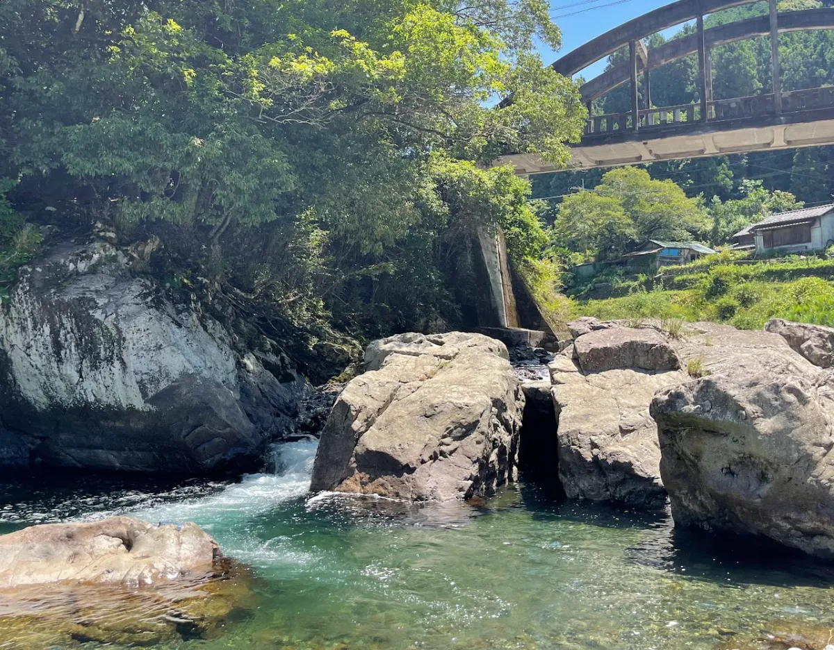 紀州産直便 夏ギフト