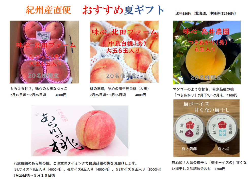 クール便対応　和歌山県紀南産　完熟南高5㎏ 4L-3L 秀品 和歌山県紀南産完熟南高梅5㎏ ✖️2箱4L-3L