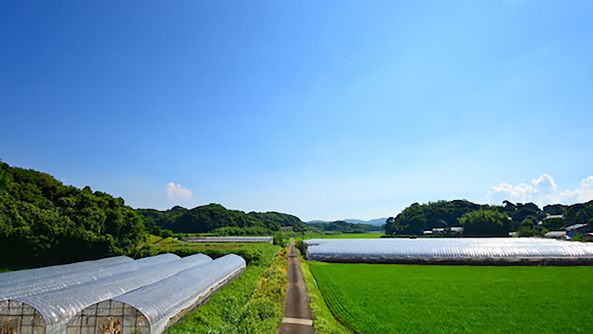 辻さんのハウスがあり協力隊の職場にもなる星鹿地区。車で5分行くと海水浴場や港も