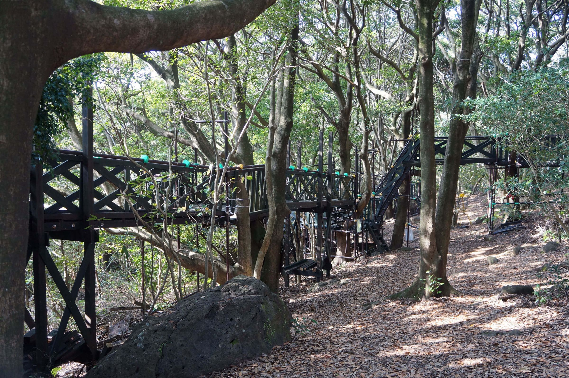 西海市のキャンプ場