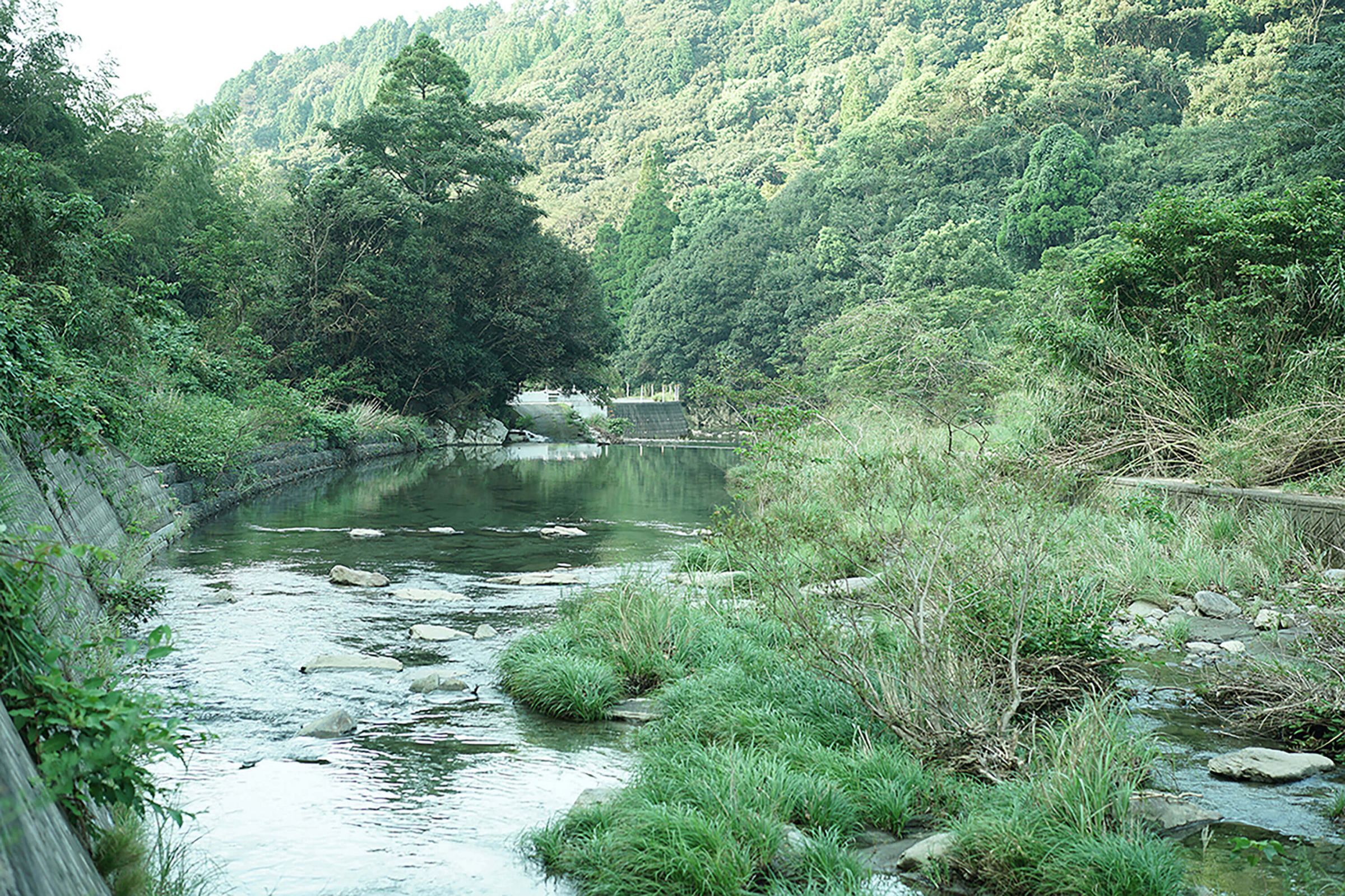 西海市の川と森